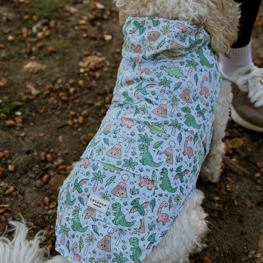 Dog Raincoat - Dinopaws
