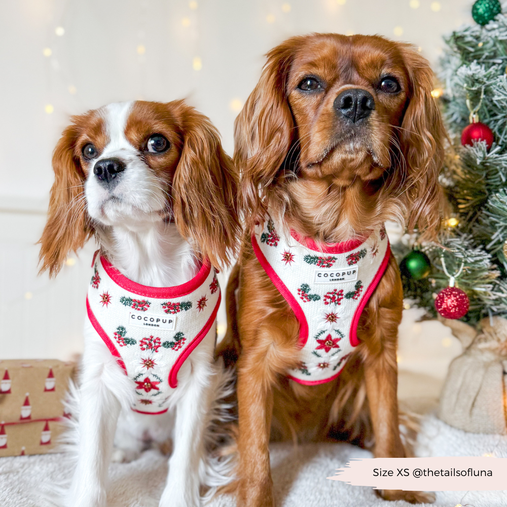 LUXE Embroidered Frosty Flower Harness