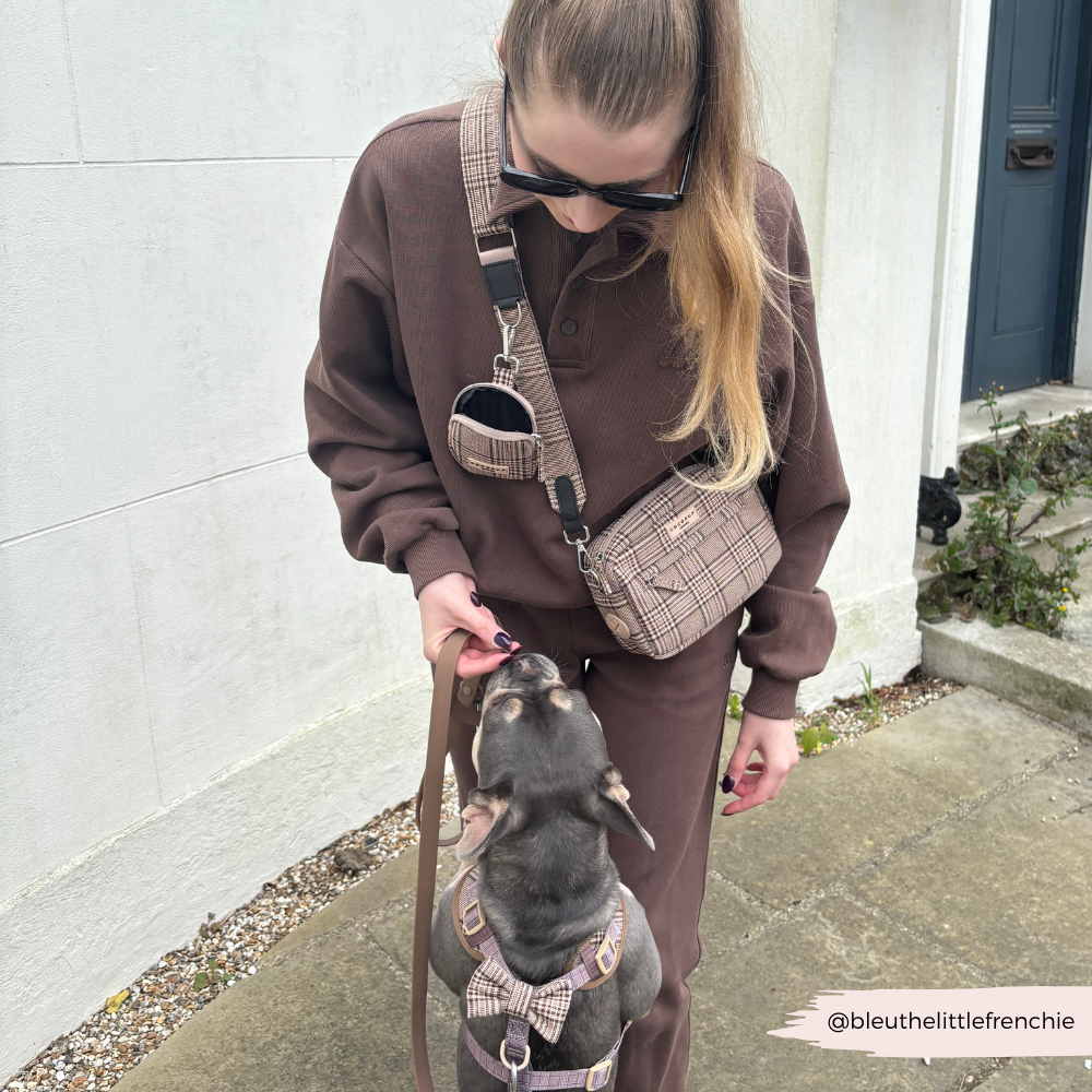 Dog Walking Bag - Pup Plaid