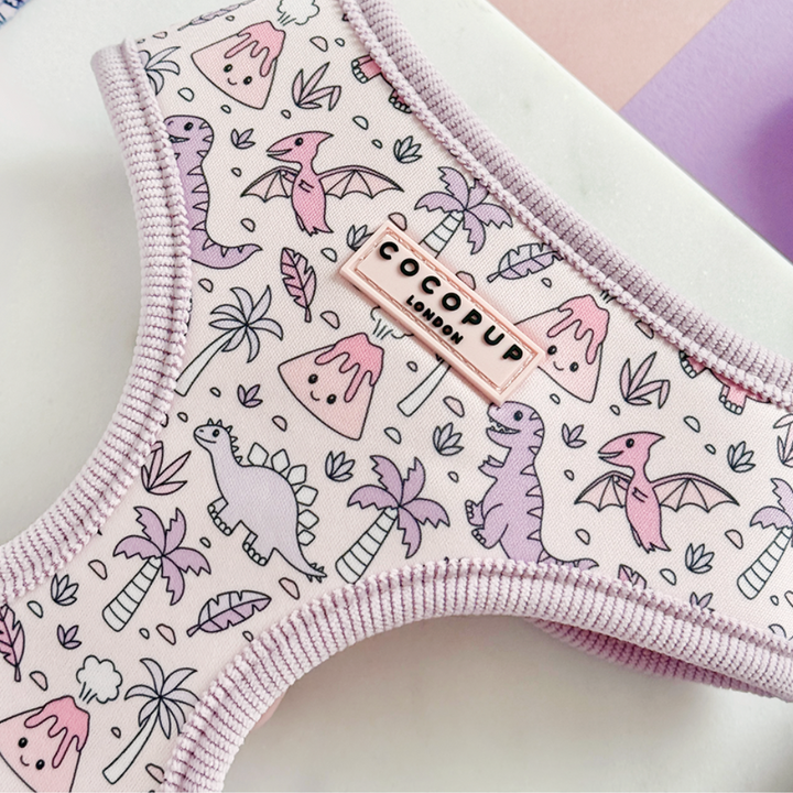 Princess Dino Adjustable Neck HARNESS
