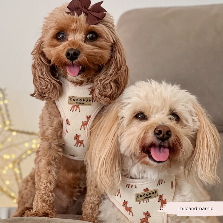 Fleecy Fawn Adjustable Neck Harness, Lead & Collar Bundle