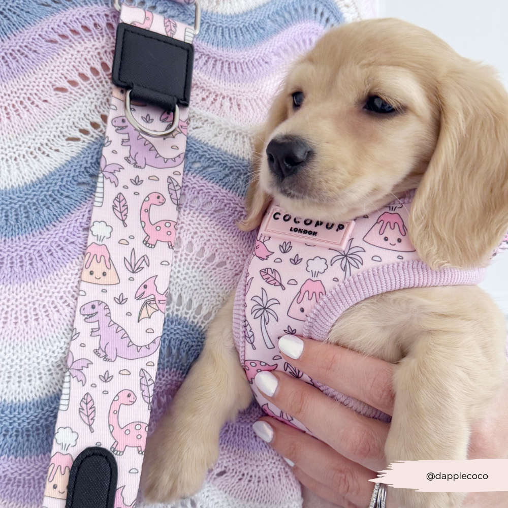 Dog Walking Bag Bundle - Princess Dino