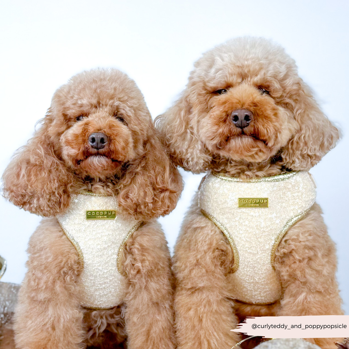 Limited Edition Sparkle Season Gold Adjustable Neck HARNESS