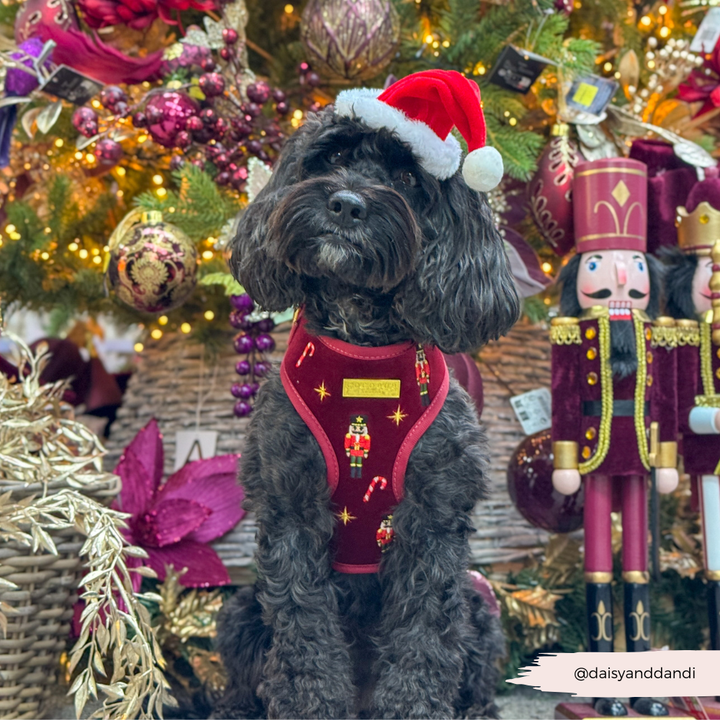 The Muttcracker Adjustable Neck HARNESS