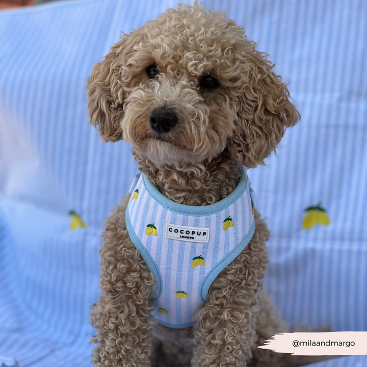 PERSONALISED Travel Mat - Living La Vida Lemon