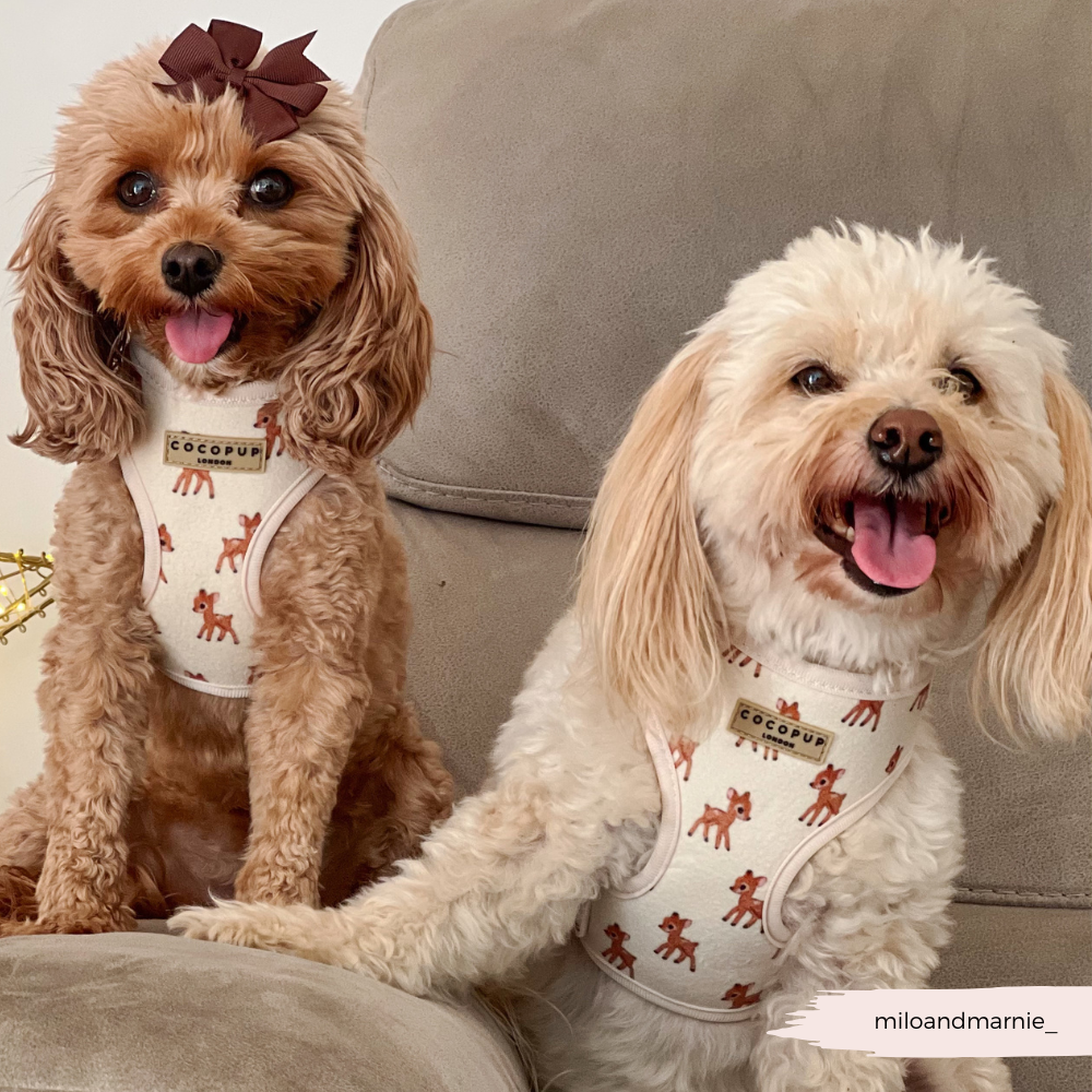 Fleecy Fawn Adjustable Neck Harness, Lead & Collar Bundle