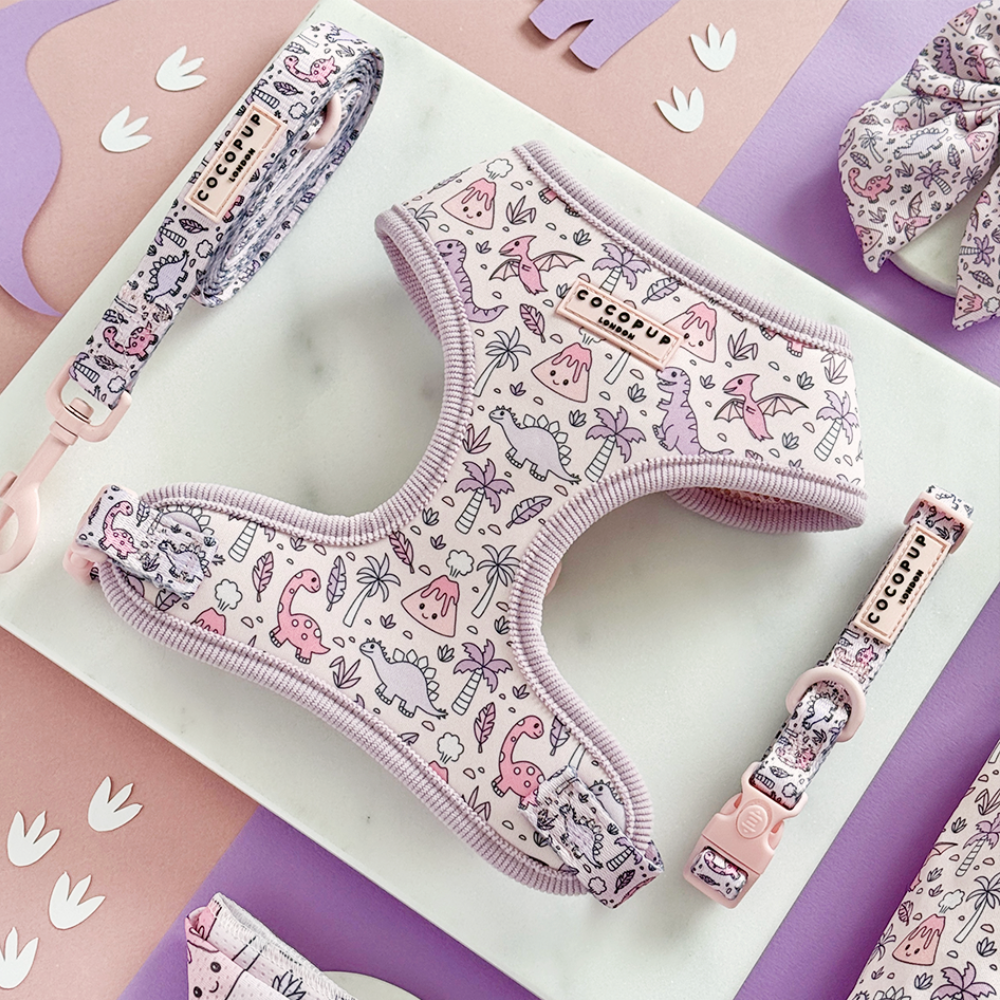 Princess Dino Adjustable Neck HARNESS