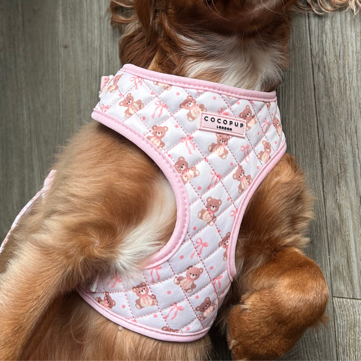 Quilted Thea Teddy Adjustable Neck Harness