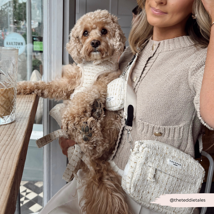 Vanilla Textured Tweed Adjustable Neck HARNESS