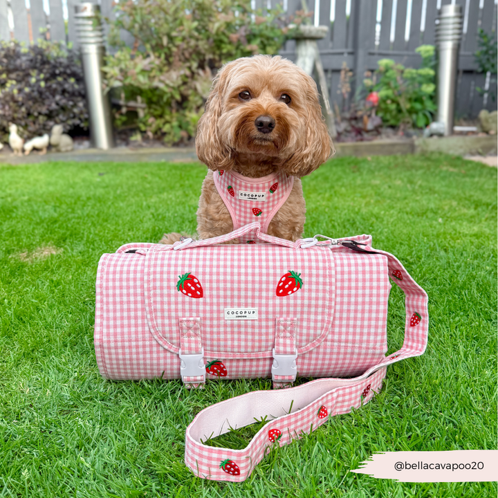Travel Mat - Strawberry Picnic Pup