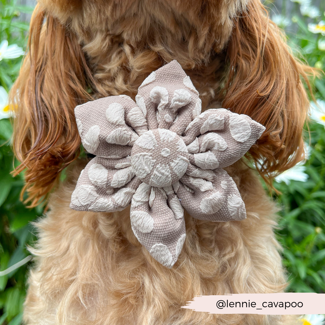 LUXE Mocha Flower Collar Flower