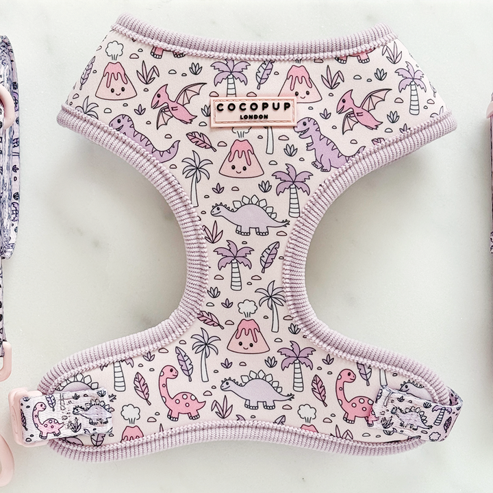 Princess Dino Adjustable Neck HARNESS