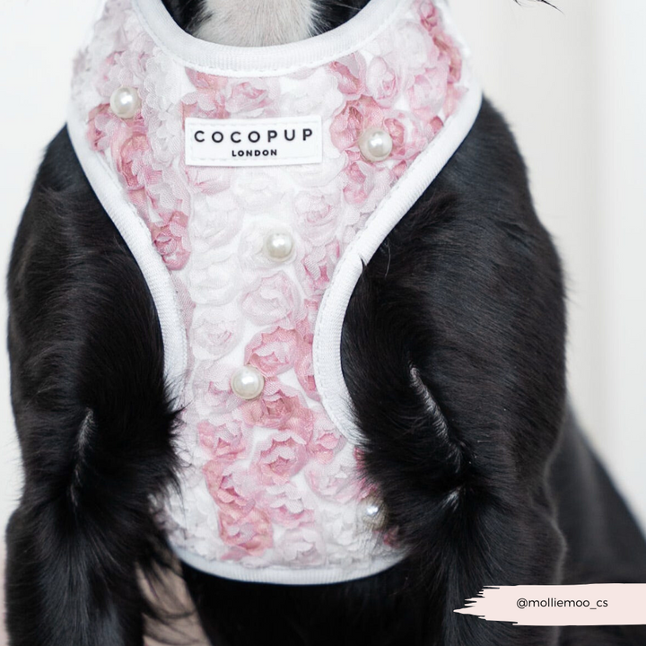 Pearly Pup Adjustable Neck HARNESS