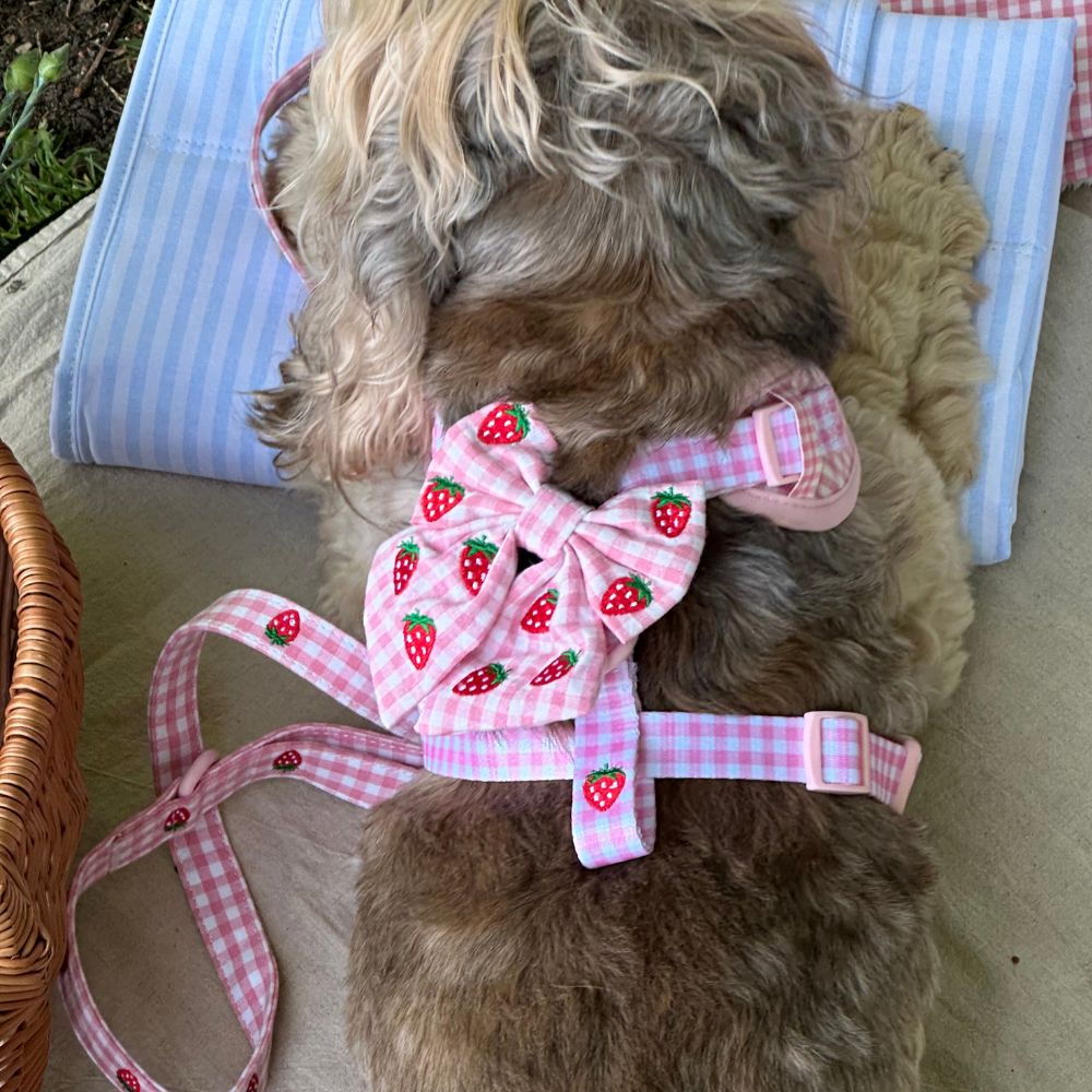 Strawberry Picnic Pup Sailor Bow Tie