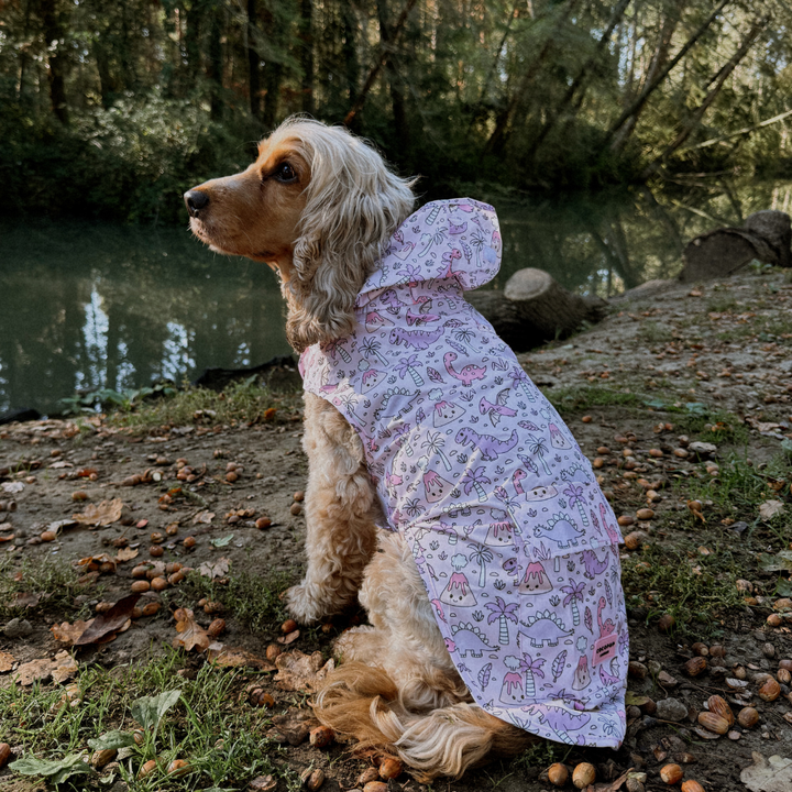 Dog Raincoat - Princess Dino