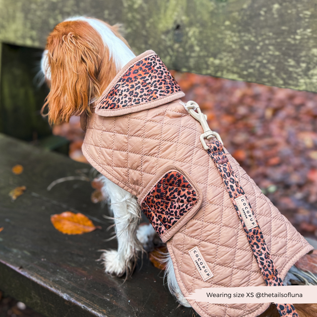 Leopard Jacket Leopard Print Dog Clothes Quilted Dog Coat Leopard