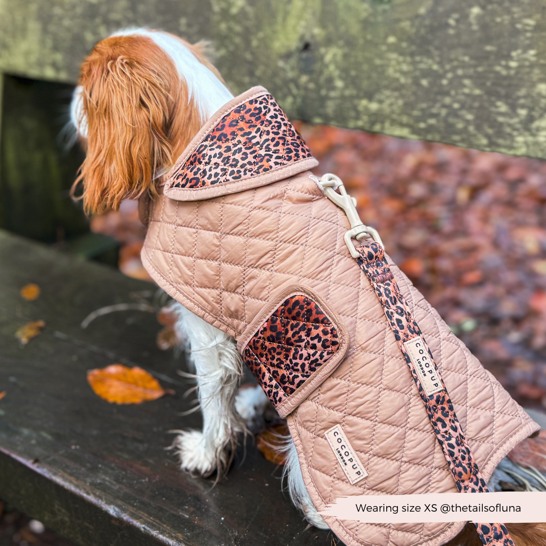 LUXE Quilted Dog Coat - Leopard Pup