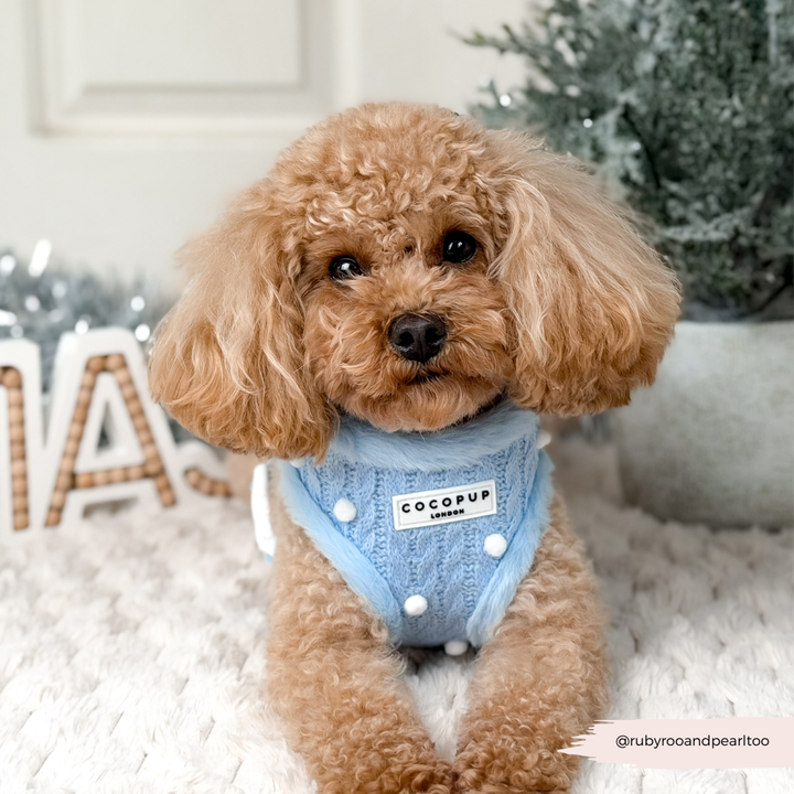 Snowpaws Adjustable Neck HARNESS