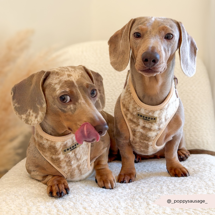 Highland Fleece Adjustable Neck HARNESS - Oatmeal