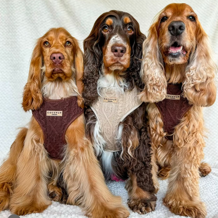 Cable Knit Jumper Adjustable Neck Harness - Toffee Pup Latte