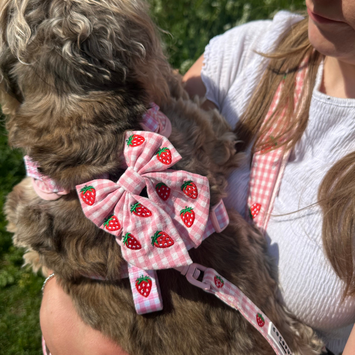 Strawberry Picnic Pup Sailor Bow Tie
