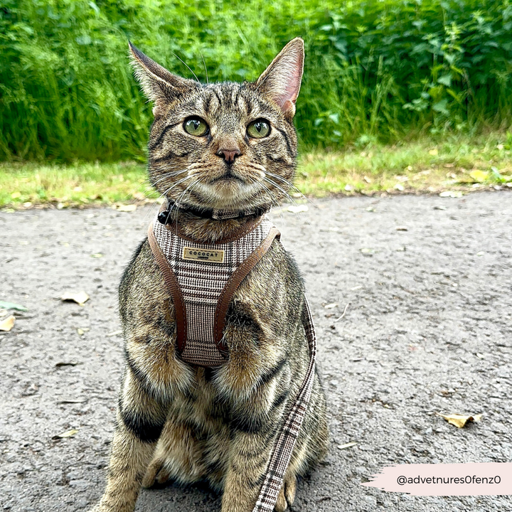 Cat Harness - Plaid