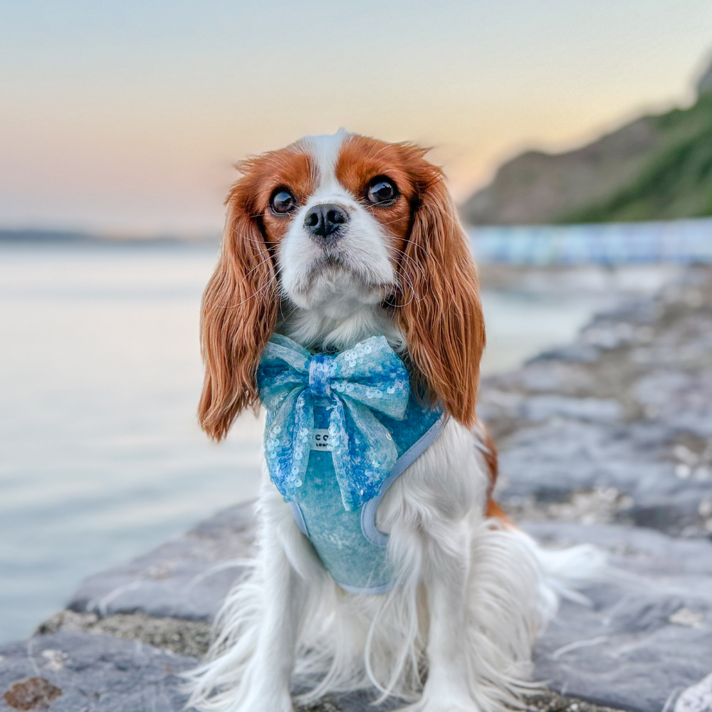 Seaside Shimmer Sailor Bow Tie