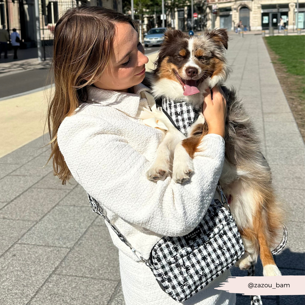 Pup in Paris Dog Walking Bag Bundle - Pup in Paris