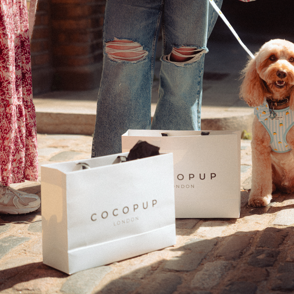 Cocopup Gift Bag
