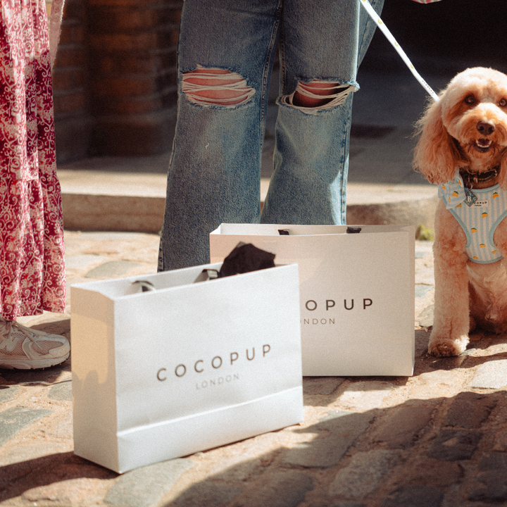 Cocopup Gift Bag