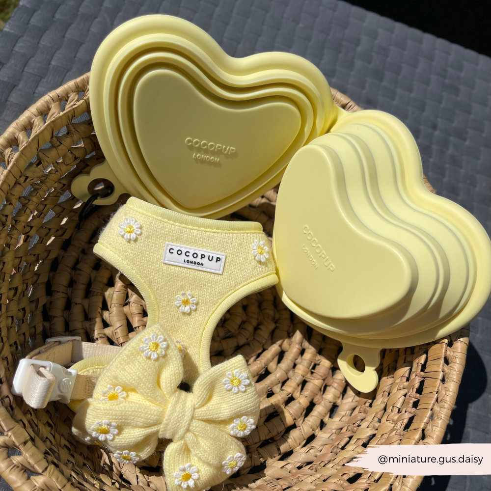 Heart Collapsible Bowl - Butter Yellow