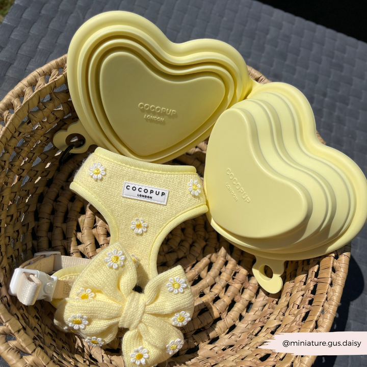 Heart Collapsible Bowl - Butter Yellow