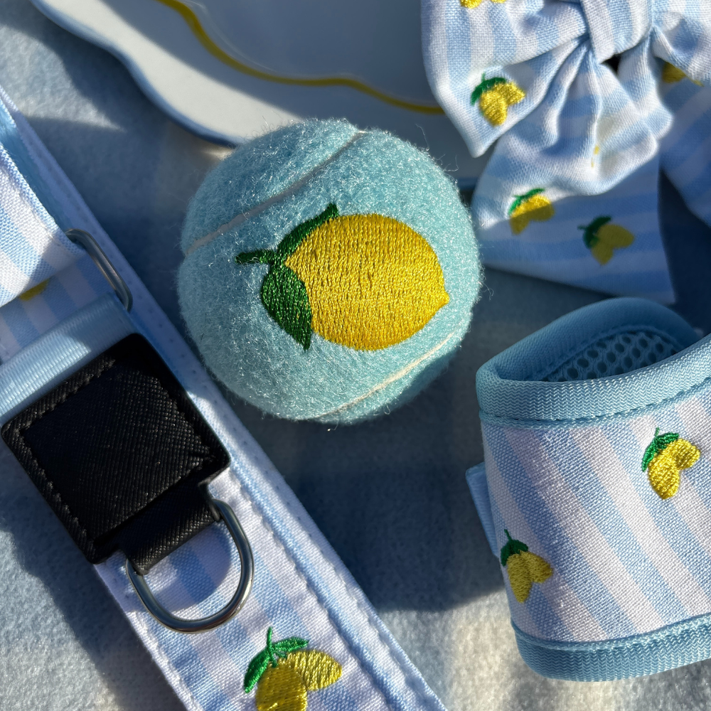 Embroidered Tennis Ball - Lemon