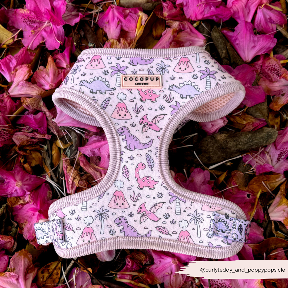 Princess Dino Adjustable Neck HARNESS