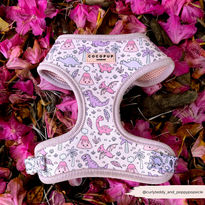 Princess Dino Adjustable Neck HARNESS