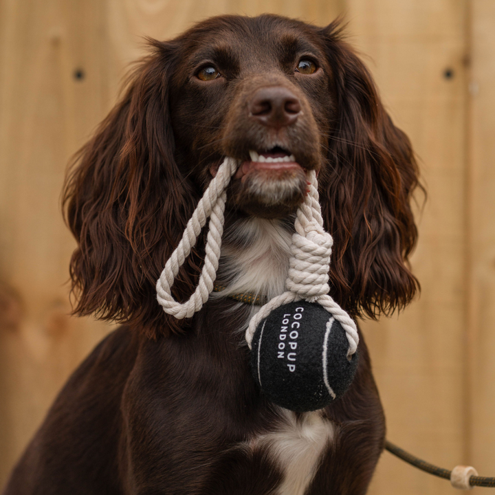 Tennis Ball Rope Toy - Midnight Black