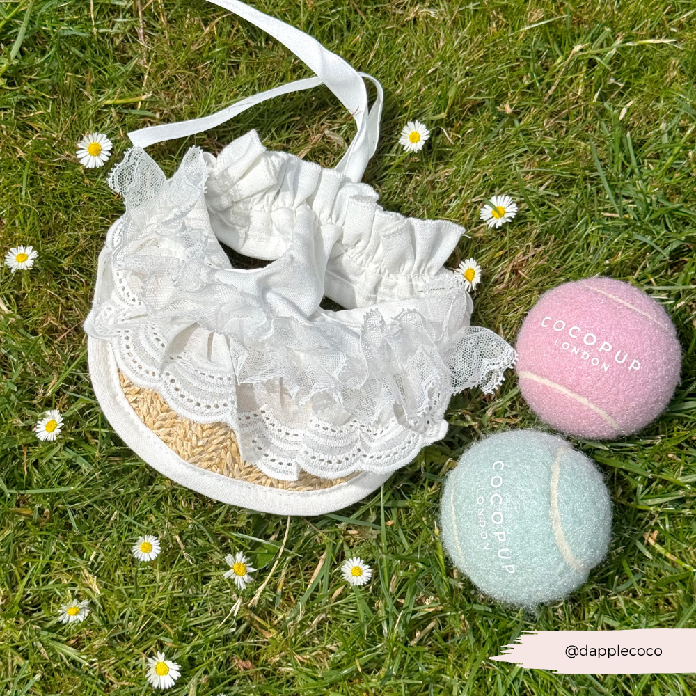 Dog Straw & Lace Sun Hat