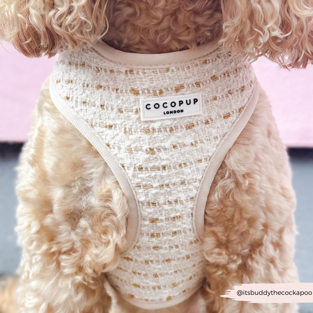 Vanilla Textured Tweed Adjustable Neck HARNESS
