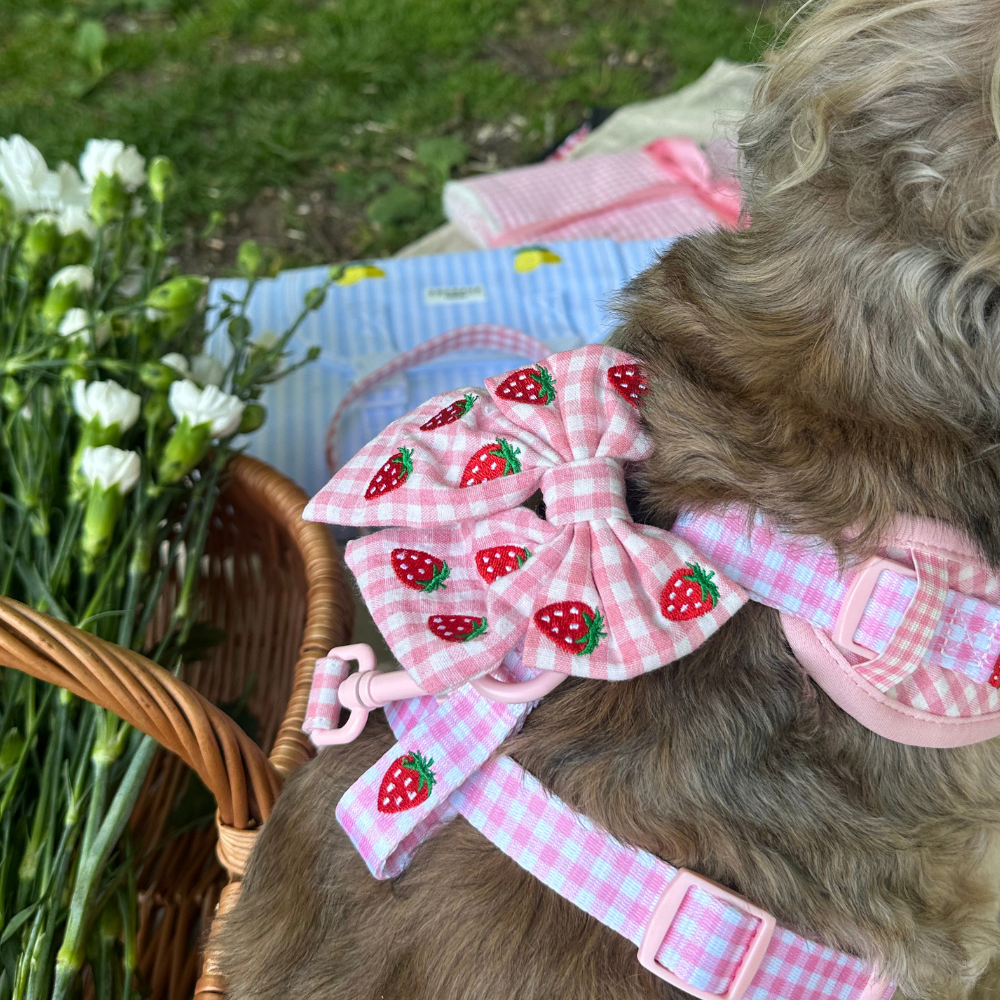 Strawberry Picnic Pup Sailor Bow Tie