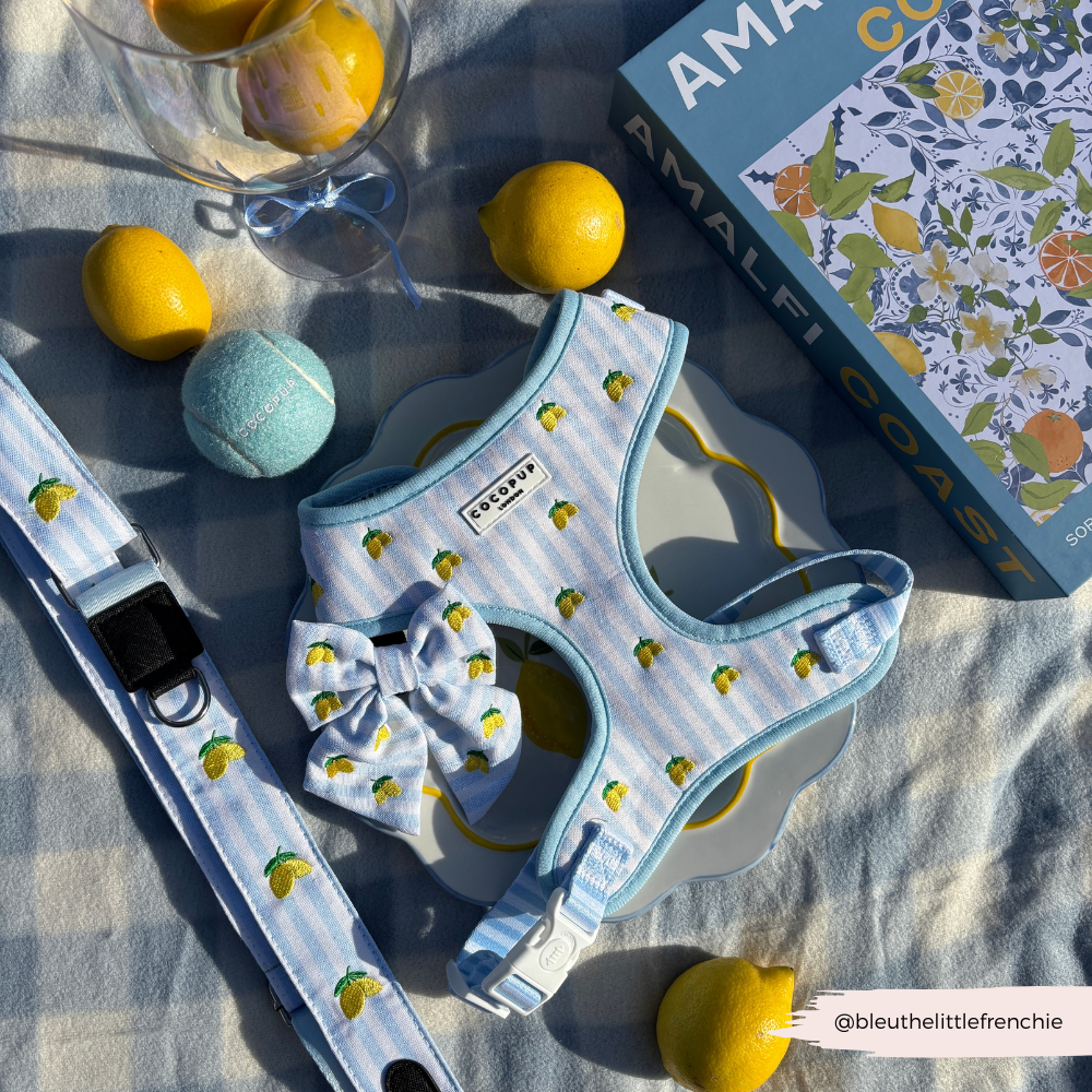 Living La Vida Lemon Sailor Bow Tie