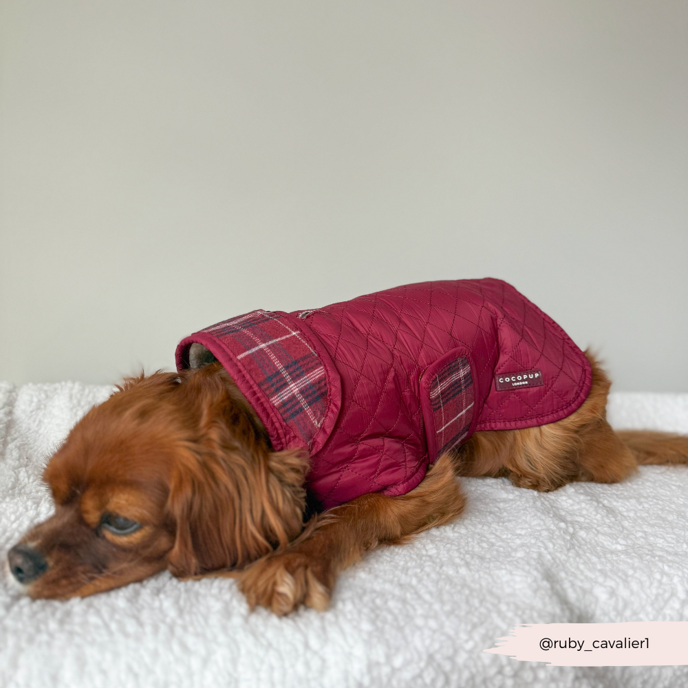Quilted Dog Coat - Mulberry Plaid