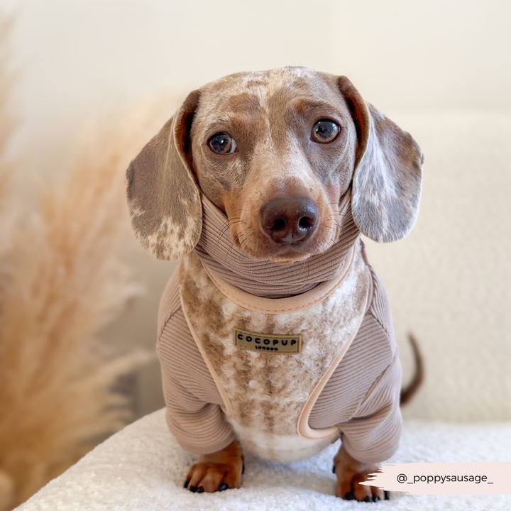 Highland Fleece Adjustable Neck HARNESS - Oatmeal