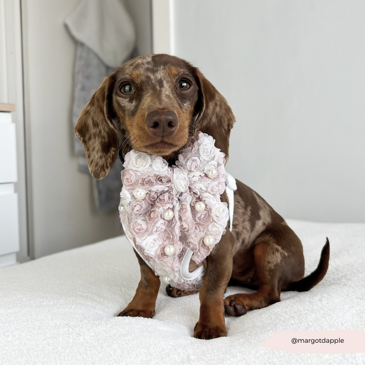 Pearly Pup Sailor Bow Tie