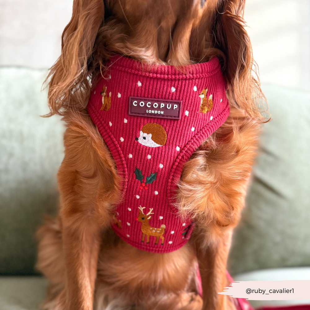 Holly Jolly Trails Adjustable Neck Harness, Lead & Collar Bundle