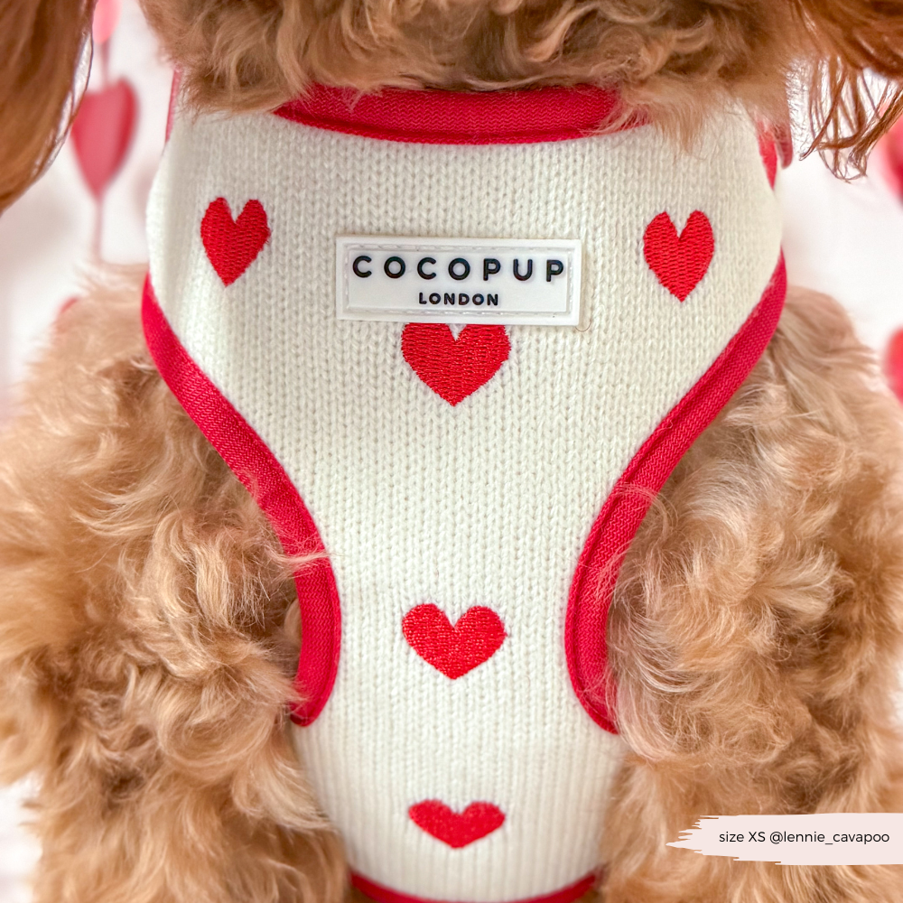 Hugs & Knitted Adjustable Neck Harness, Lead & Collar Bundle