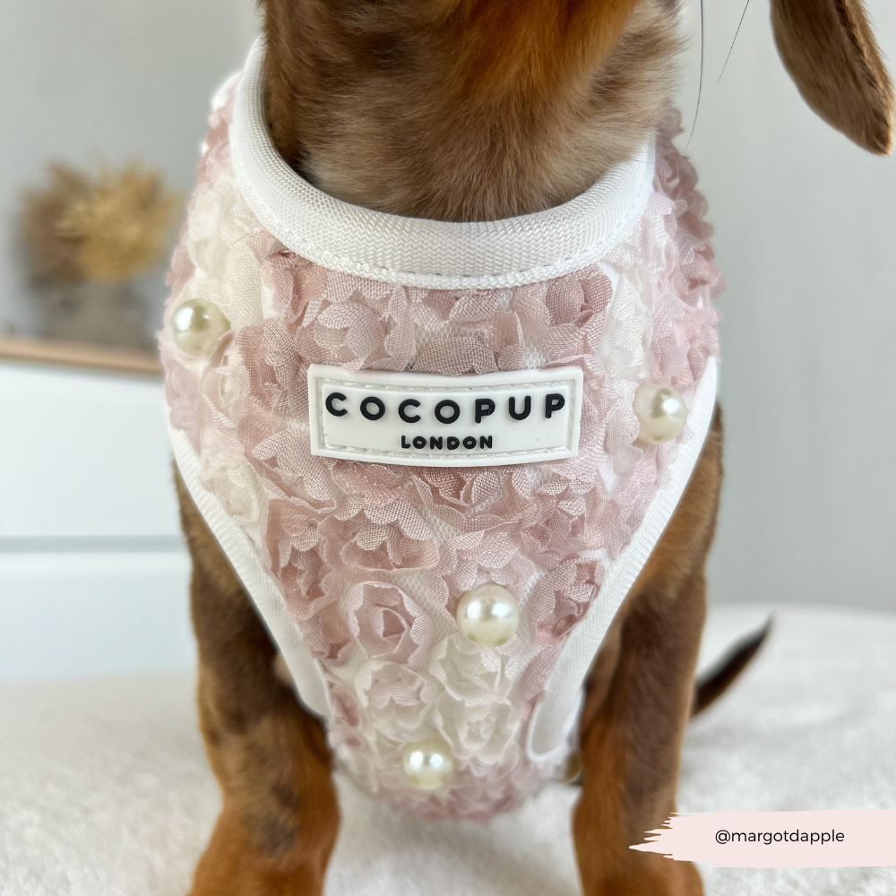 Pearly Pup Adjustable Neck HARNESS