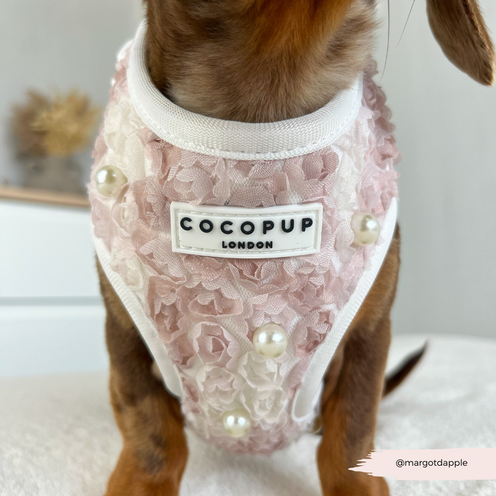 Pearly Pup Adjustable Neck HARNESS
