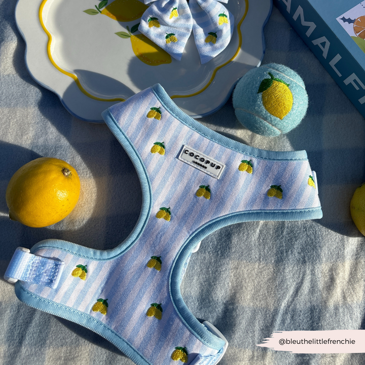 Living La Vida Lemon Adjustable Neck HARNESS