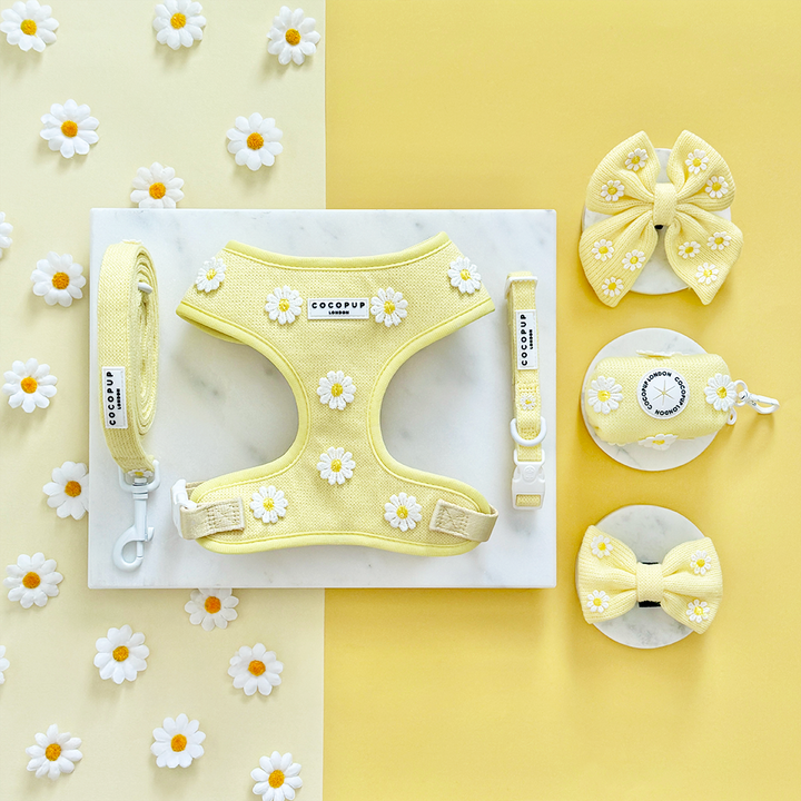 Buttercup Pup COLLAR