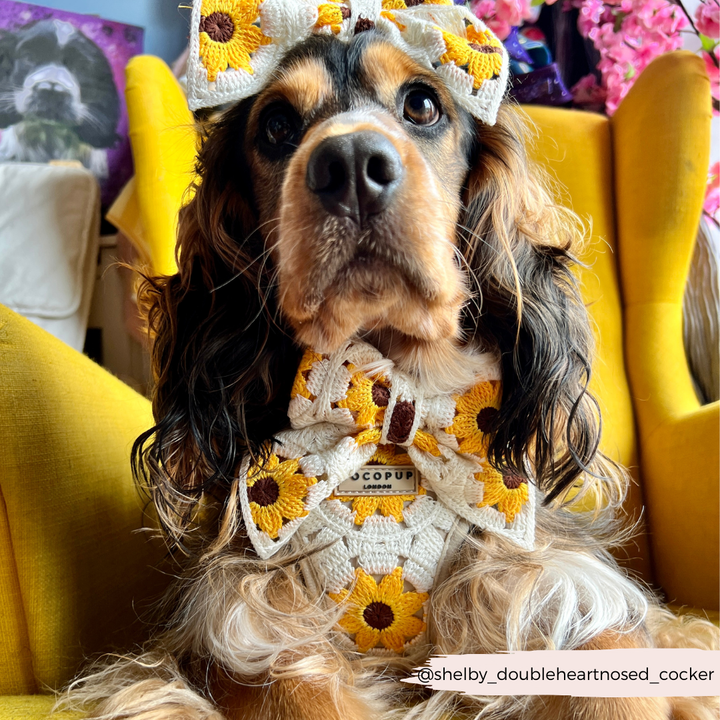 Sunflower Patch Sailor Bow Tie